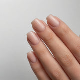 Apricot | Cover Base